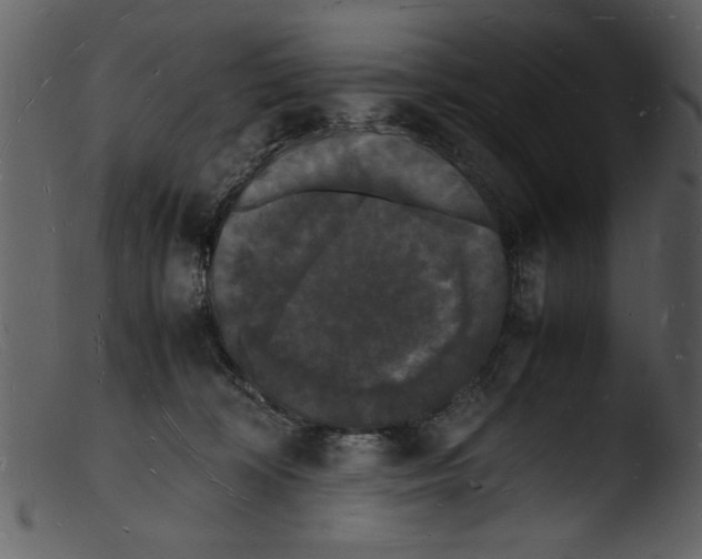 X0000103290324200809261255