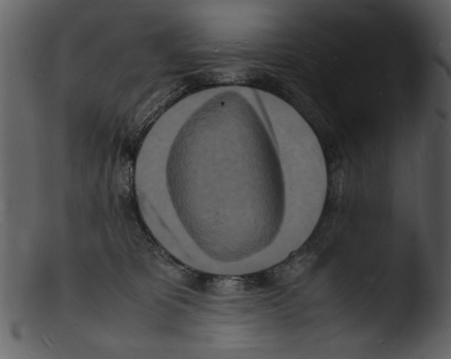 X0000103290325200809261255