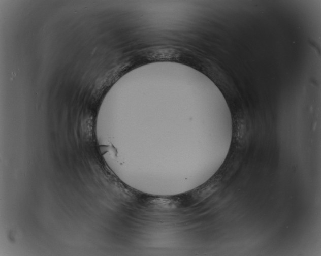X0000103290326200809261255
