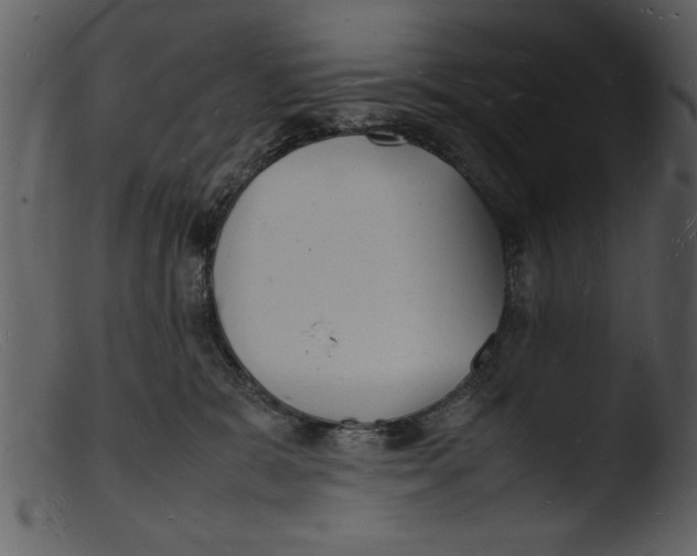 X0000103290327200809261255
