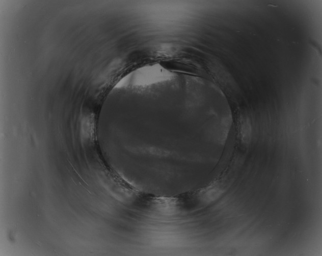 X0000103290328200809261255