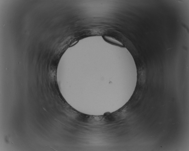 X0000103290329200809261255