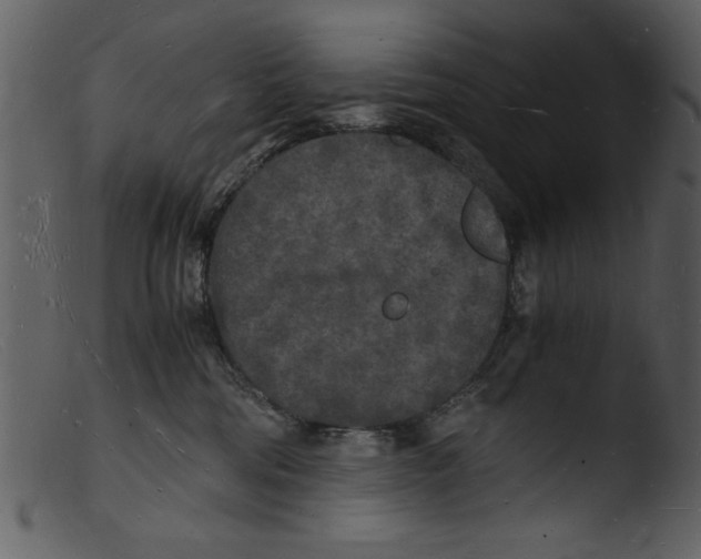 X0000103290330200809261255