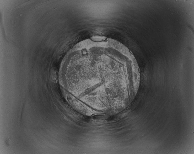 X0000103290331200809261255