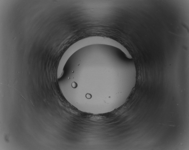 X0000103290332200809261255