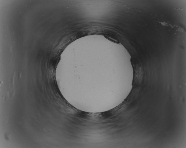 X0000103290333200809261255