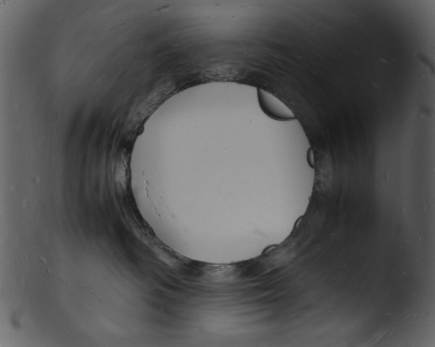 X0000103290334200809261255