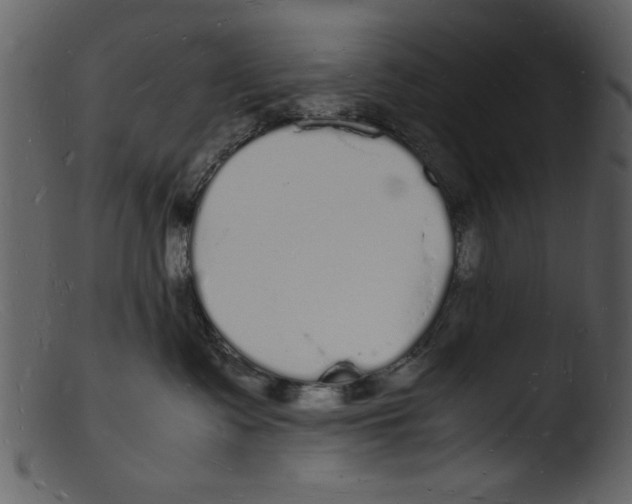 X0000103290335200809261255
