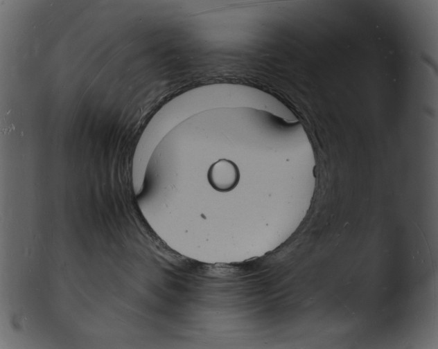 X0000103290336200809261255