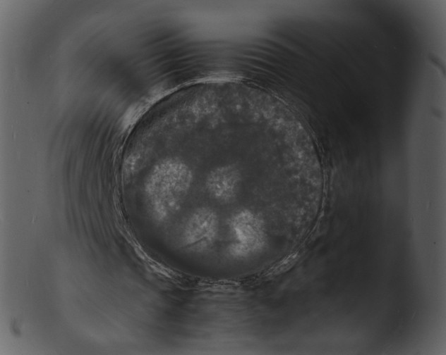 X0000103290337200809261254