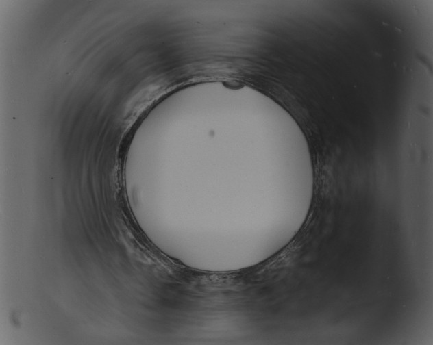X0000103290338200809261254
