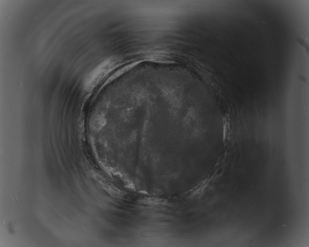 X0000103290339200809261254