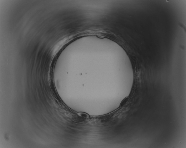 X0000103290340200809261254
