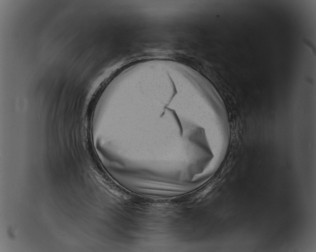 X0000103290342200809261254