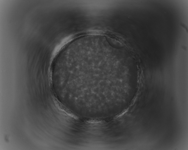 X0000103290343200809261254