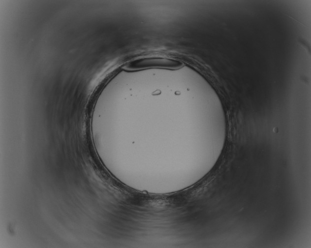 X0000103290344200809261254