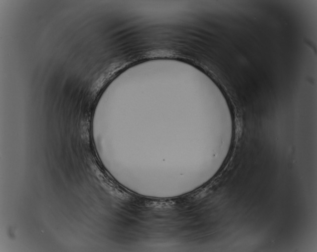 X0000103290345200809261254