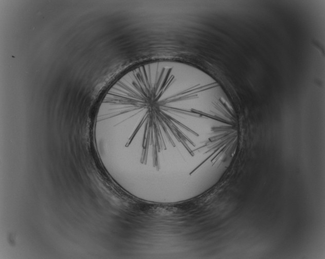 X0000103290346200809261254