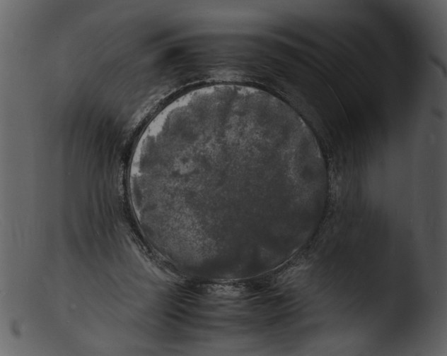 X0000103290347200809261254