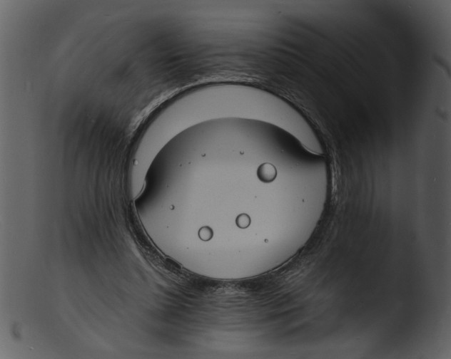 X0000103290348200809261254