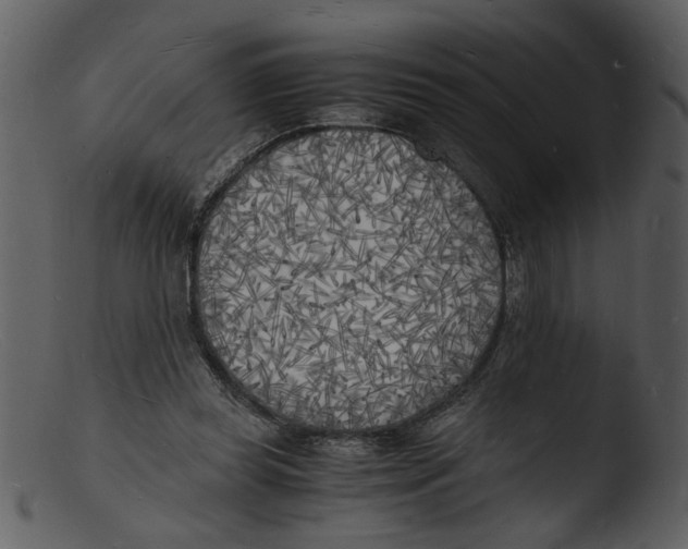 X0000103290349200809261254