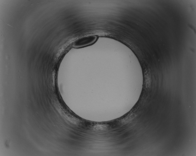 X0000103290350200809261254