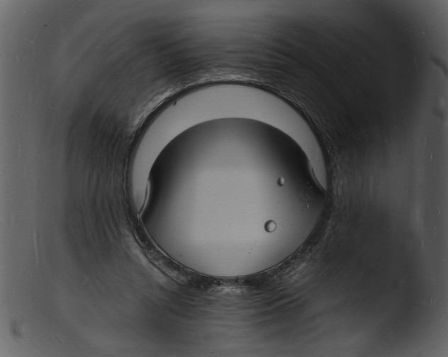 X0000103290352200809261254