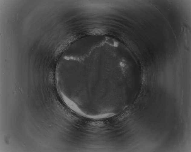 X0000103290353200809261254