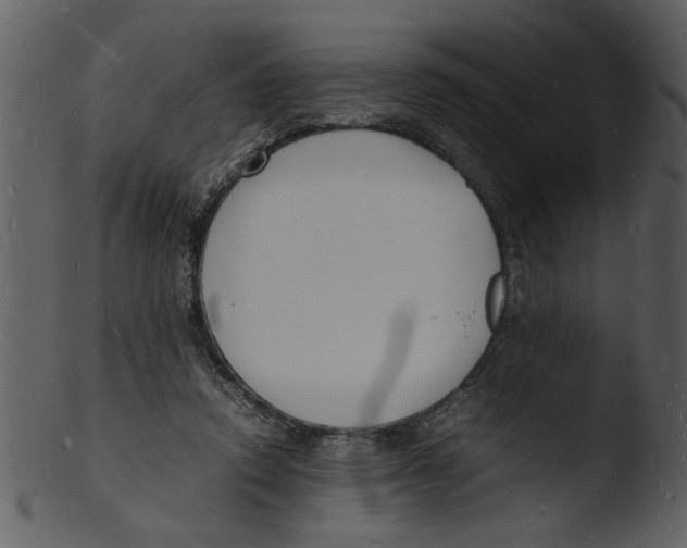 X0000103290354200809261254