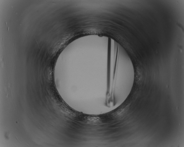 X0000103290355200809261254