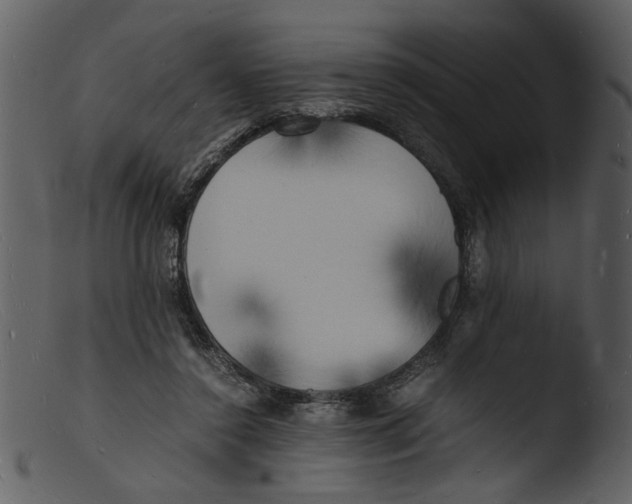 X0000103290356200809261254