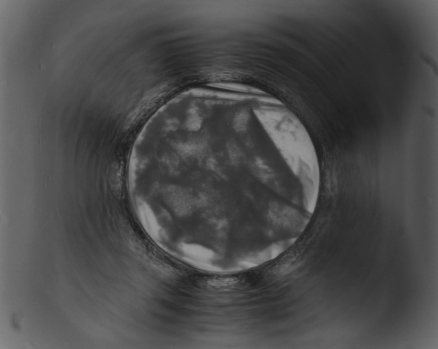 X0000103290357200809261255