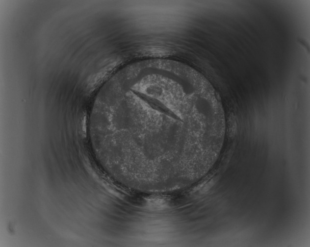 X0000103290358200809261255