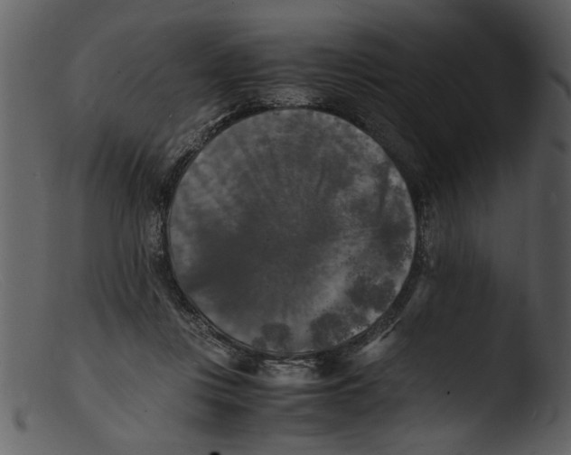 X0000103290359200809261255