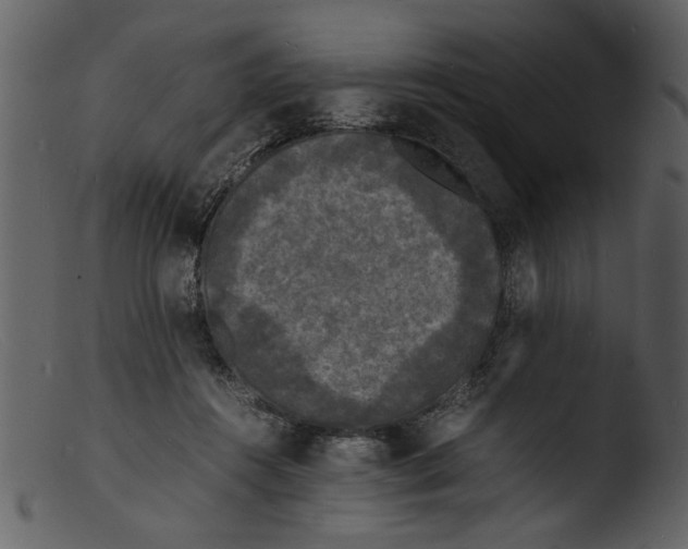 X0000103290360200809261255