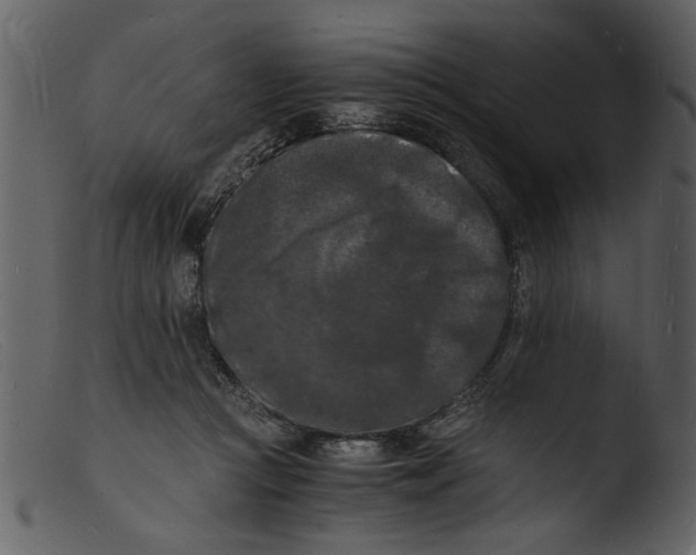 X0000103290361200809261255