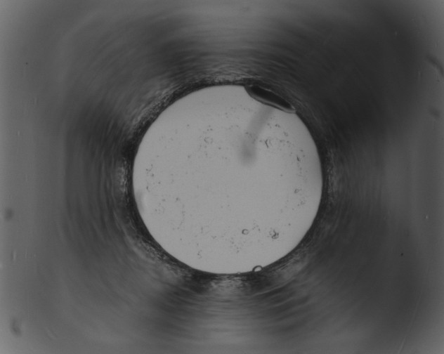 X0000103290362200809261255