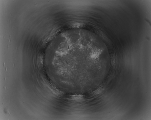 X0000103290363200809261255