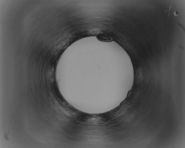 X0000103290364200809261255