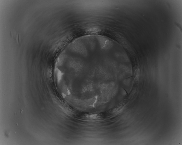 X0000103290365200809261255