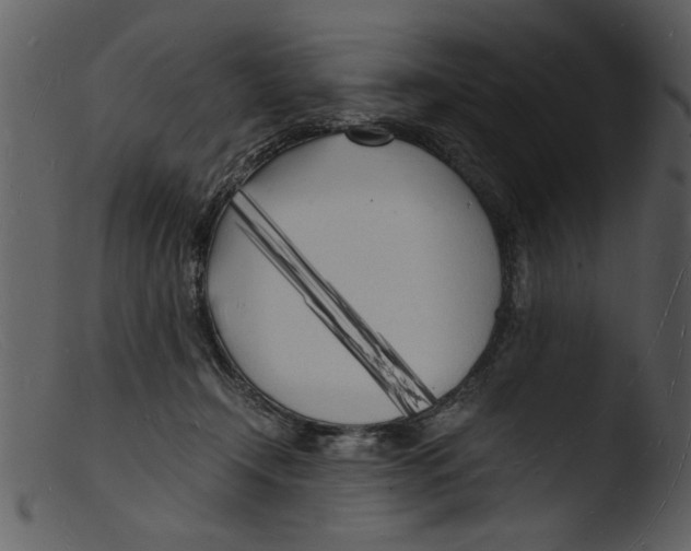 X0000103290366200809261255