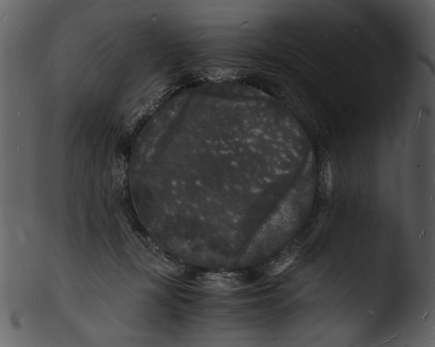 X0000103290367200809261255