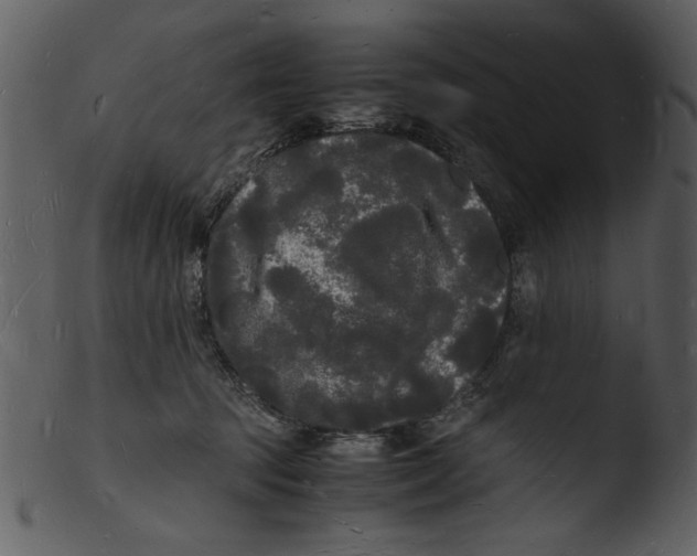 X0000103290369200809261255