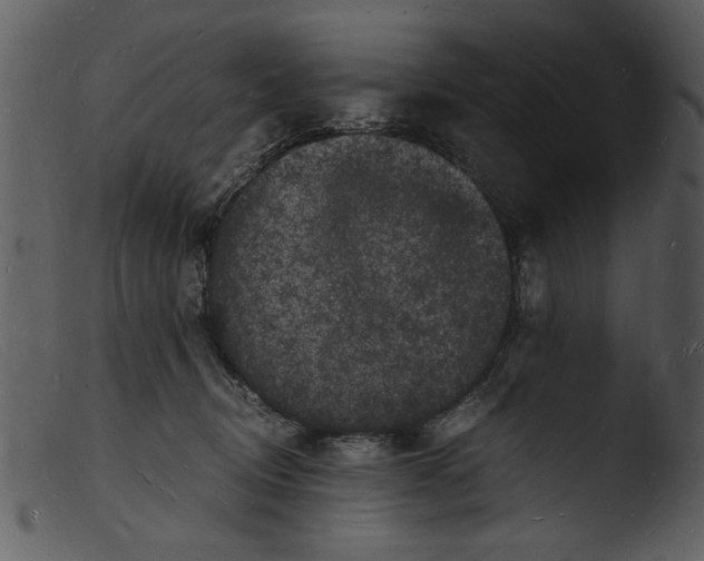 X0000103290370200809261255