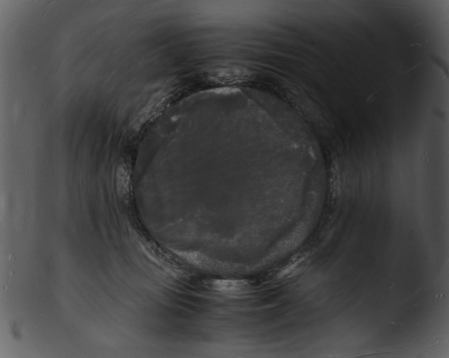 X0000103290371200809261255