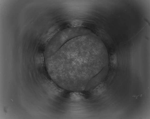 X0000103290372200809261255