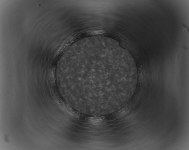 X0000103290373200809261255