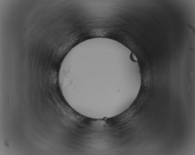 X0000103290374200809261255