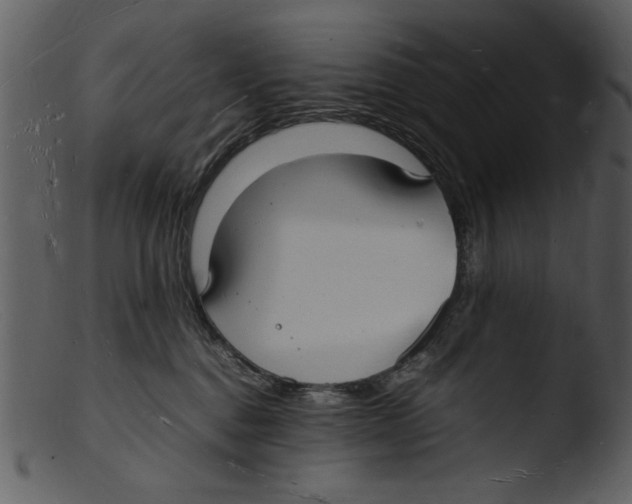 X0000103290376200809261255