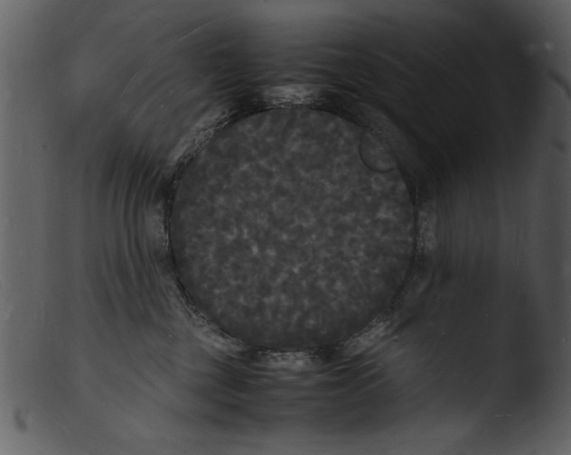X0000103290377200809261255